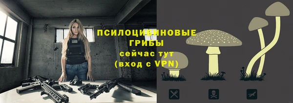 метамфетамин Алексеевка