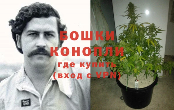 винт Алексин