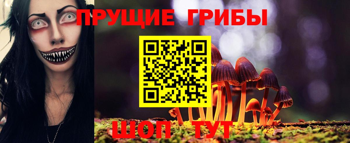 Усолье-Сибирское  Галлюциногенные грибы прущие грибы  Вход с VPN 